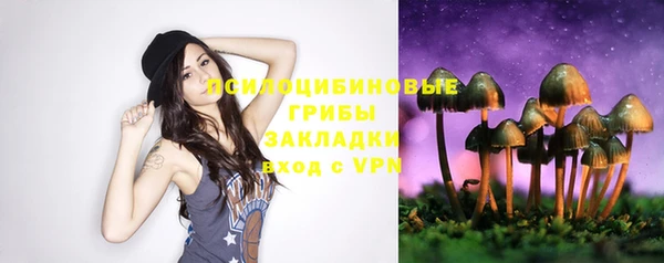 мяу мяу мука Аркадак