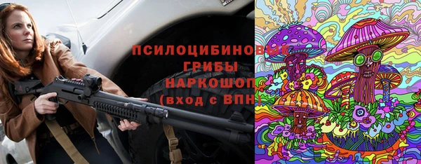 мяу мяу мука Аркадак