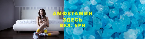мяу мяу мука Аркадак