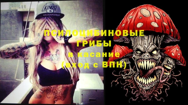 бошки Армянск